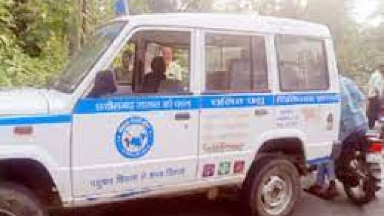 लकड़ियों की तस्करी पशुओं के एंबुलेंस में
