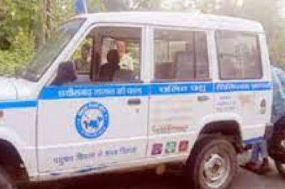 लकड़ियों की तस्करी पशुओं के एंबुलेंस में