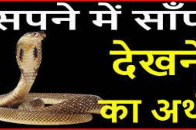 सपने में सांप का दिखाई देना होता है शुभ और अशुभ, डसने का क्या होता है मतलब, जानिए