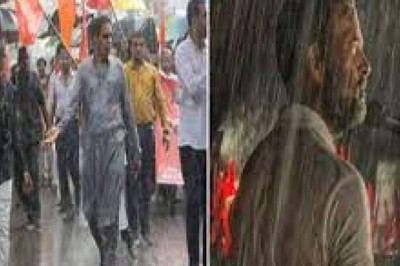 CG में सियासत राहुल गांधी की तस्वीर पर:
