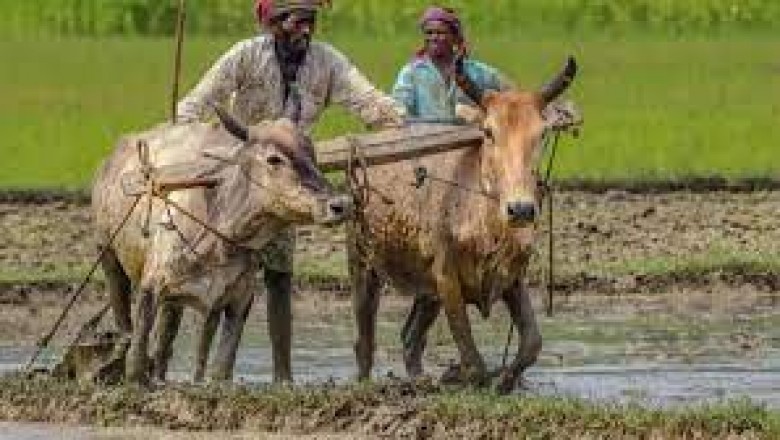 PM किसान सम्मान निधि योजना :