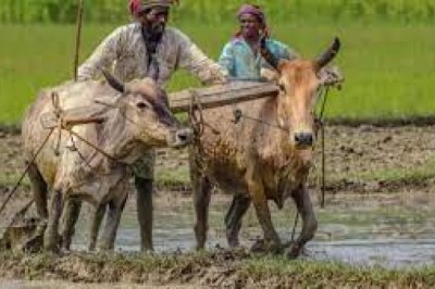 PM किसान सम्मान निधि योजना :