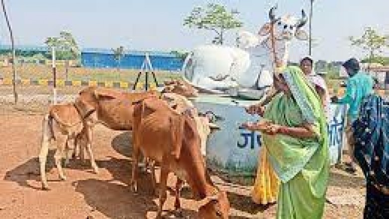 जिले में गोवर्धन पूजा के अवसर पर हर्ष एवं उल्लास के साथ मनाया गया गौठान दिवस :