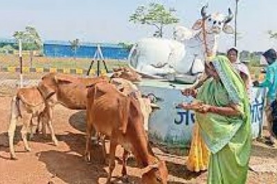जिले में गोवर्धन पूजा के अवसर पर हर्ष एवं उल्लास के साथ मनाया गया गौठान दिवस :