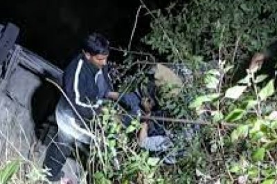 नाले में गिरा मवेशियों से भरा  वाहन : चालक फरार, केस दर्ज :