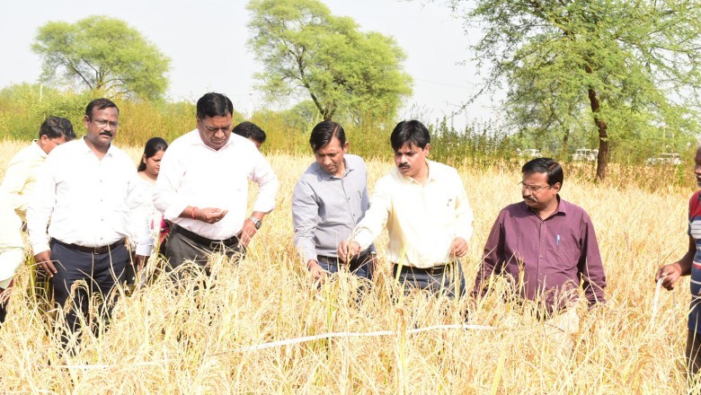 संभागायुक्त ने धान उपार्जन केन्द्र ढाबा का किया आकस्मिक निरीक्षण :