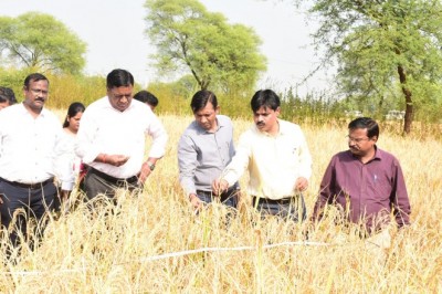 संभागायुक्त ने धान उपार्जन केन्द्र ढाबा का किया आकस्मिक निरीक्षण :