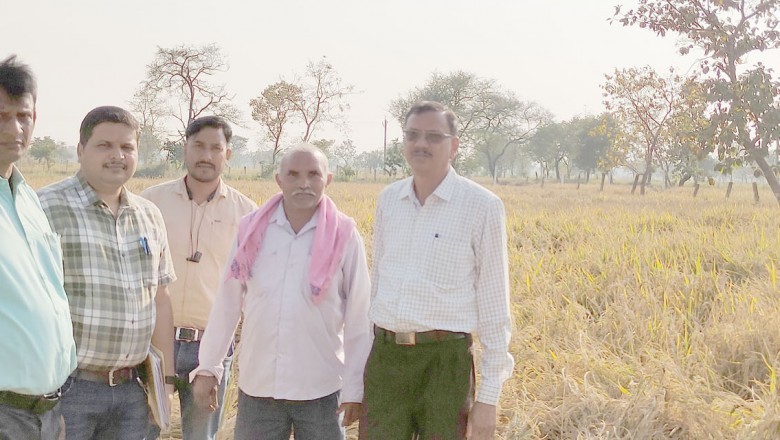 राजीव गांधी किसान न्याय योजना और बीज उत्पादन कार्यक्रम से किसान को हो रहा फायदा :