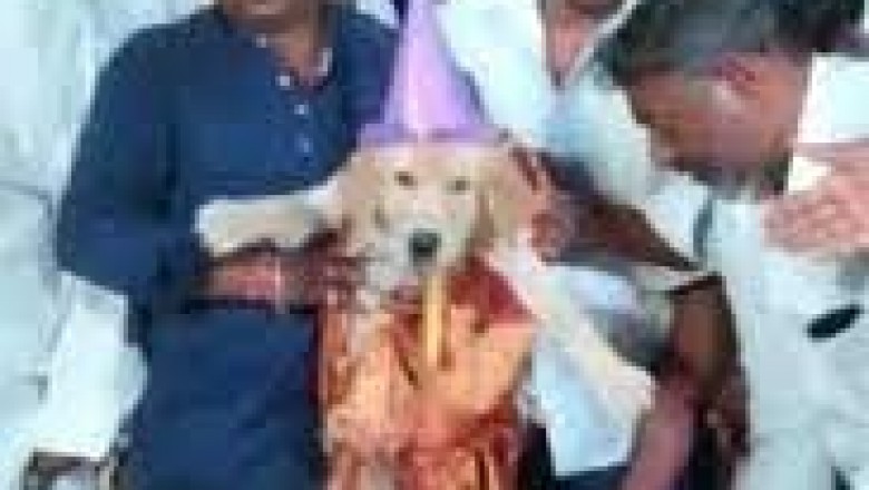 अपने बच्चे की तरह धूमधाम से मनाया पालतू कुत्ते का जन्मदिन, केक काट 300 लोगों को दी पार्टी, गिफ्ट किया सोने का लॉकेट