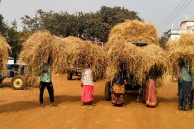 नवाचारी पहल - छेरछेरा के तर्ज पर पैरादान तिहार मनाकर गौठानों में हो रहा पैरादान