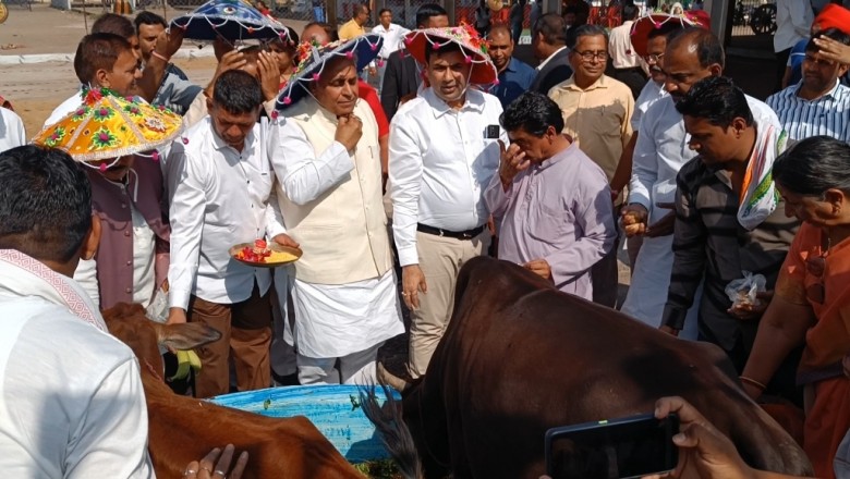 -नई गंजमंडी में बना नया आदर्श गौठान का हुआ उद्घाटन के बाद फलदार व छायेदार वृक्षारोपण किया गया: