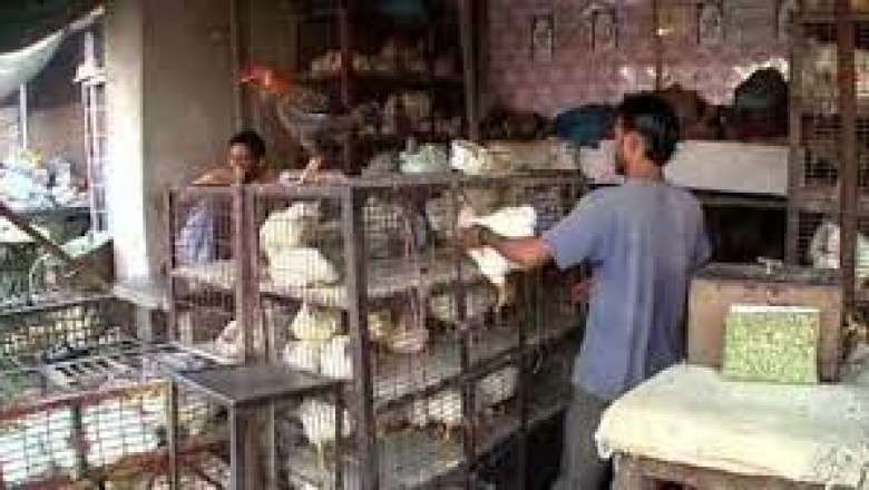 30 को मटन मार्केट बंद :