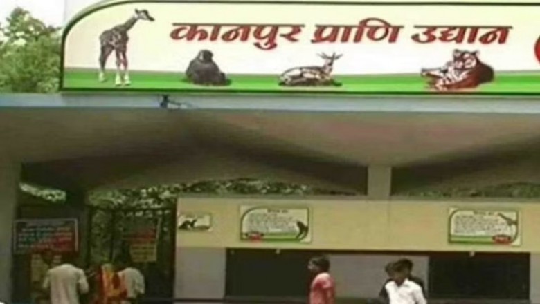 पुल के नीचे मिली चिड़ियाघर से चुराई तिजोरी :