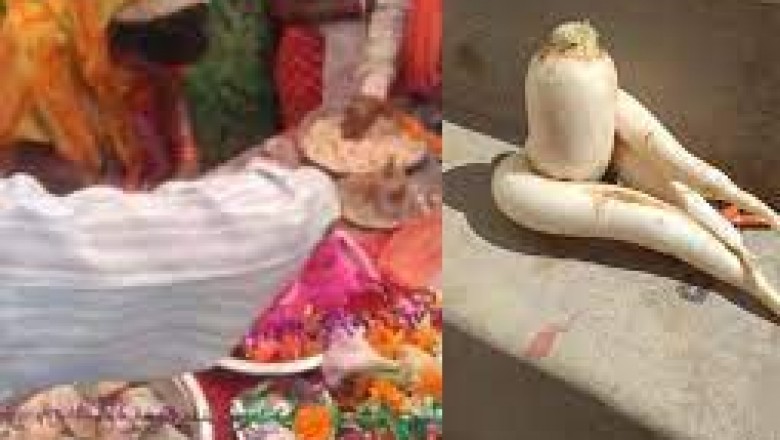 मूली में शिवलिंग की आकृति की प्रतिमा निकलने से श्रद्धालुओं की उमड़ी भीड़..