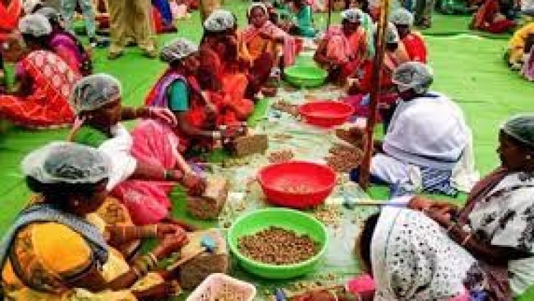 जिले के ऐसे समस्त खाद्य कारोबारकर्ता जो खाद्य निर्माण :