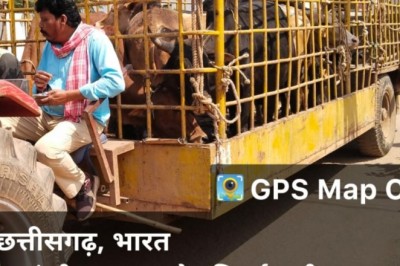 आवारा मवेशी पकड़ने व्यापक अभियान, सात दिनों में पकड़े 96 आवारा मवेशी :