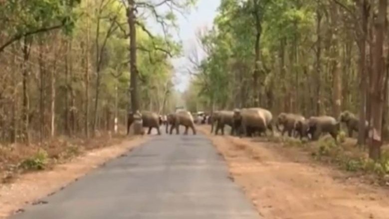 फसल की रखवाली करने खेत गया था ग्रामीण, 3 साल में 5 लोगों को मौत के घाट उतार चुके हाथी :