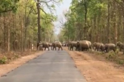 फसल की रखवाली करने खेत गया था ग्रामीण, 3 साल में 5 लोगों को मौत के घाट उतार चुके हाथी :