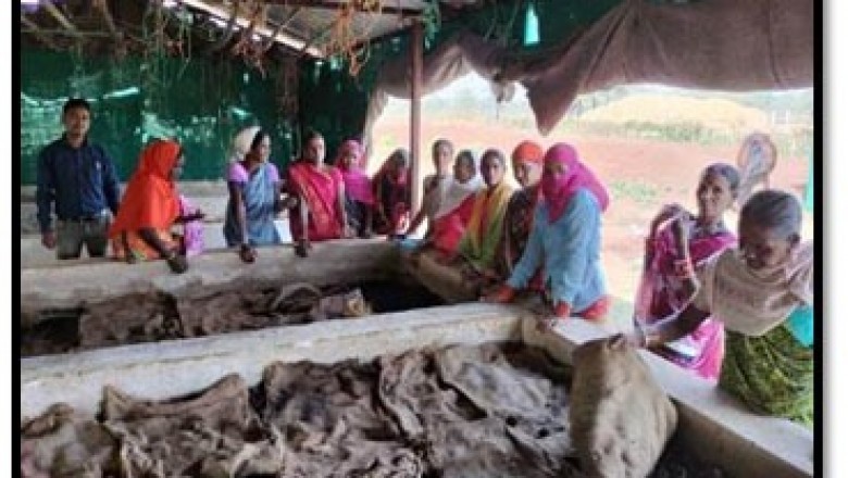 गोधन न्याय योजना से पशुपालकों को मिल रहा लाभ :