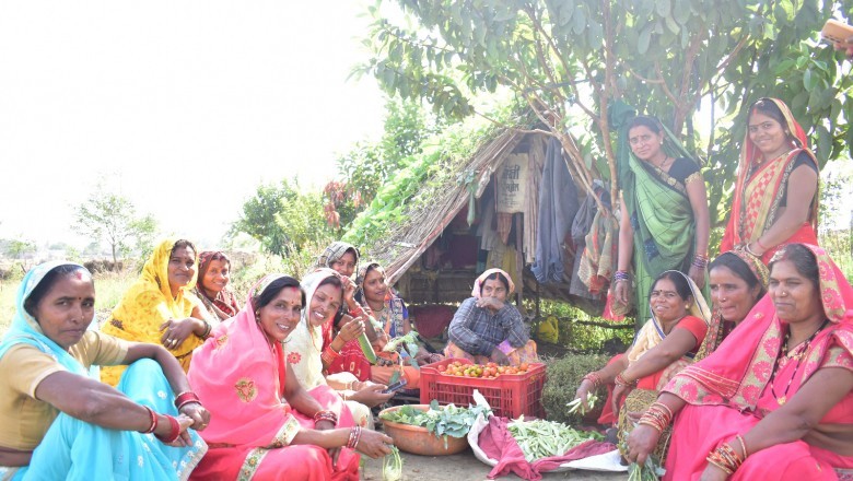 केसरा की महिलाओं ने सब्जी लगाकर कमाया लगभग 17 लाख रूपए :