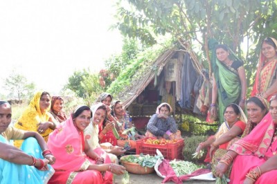 केसरा की महिलाओं ने सब्जी लगाकर कमाया लगभग 17 लाख रूपए :