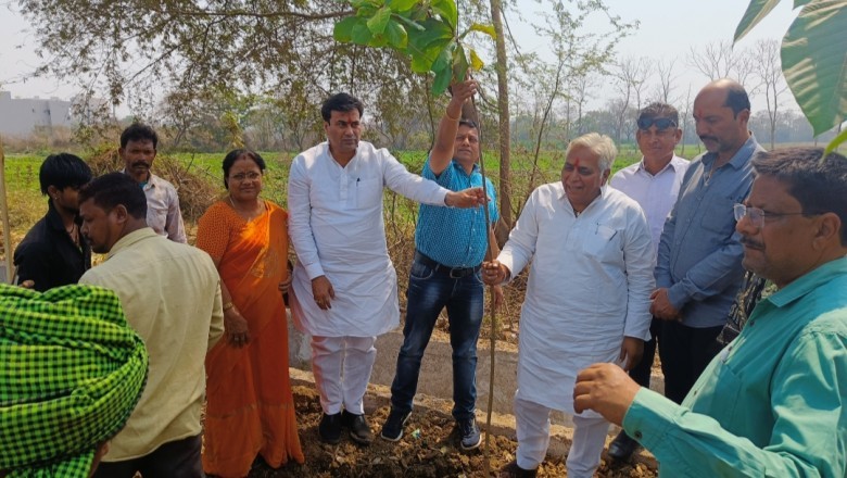 विधायक,महापौर ने शिवनाथ नदी मुक्तिधाम मार्ग सौंदर्यीकरण निर्माण सड़क किनारे किया वृक्षारोपण: