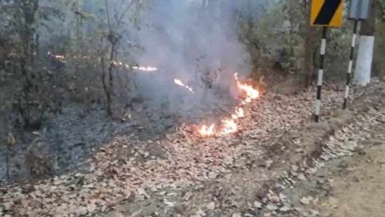 आफत में वन्यप्राणी , उदंती सीतानदी टाइगर रिर्जव क्षेत्र में लगी भीषण आग :