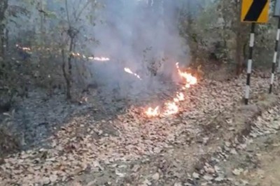 आफत में वन्यप्राणी , उदंती सीतानदी टाइगर रिर्जव क्षेत्र में लगी भीषण आग :