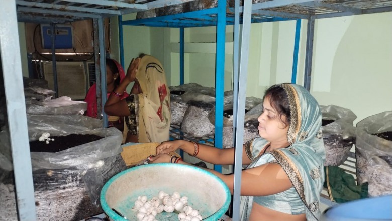 बिहान योजना से प्रेरित होकर महिलाएं हो रही आत्मनिर्भर :