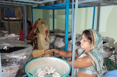 बिहान योजना से प्रेरित होकर महिलाएं हो रही आत्मनिर्भर :