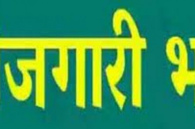 बेरोजगारी भत्ता योजना के क्रियान्वयन की दिशा में समन्वित तरीके से कार्य करें अधिकारी- कलेक्टर :