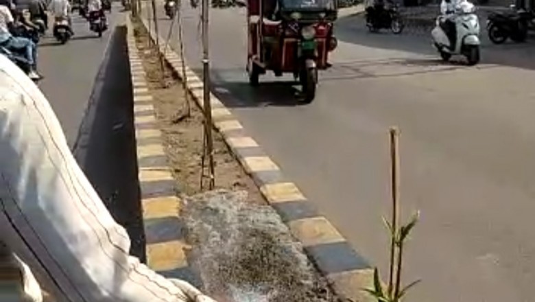 गर्मी से पेड़ो को बचाने के लिए निगम कर रहा है सिंचाई कार्य :
