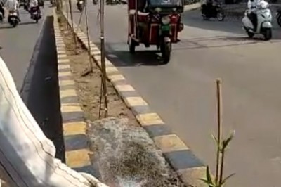 गर्मी से पेड़ो को बचाने के लिए निगम कर रहा है सिंचाई कार्य :