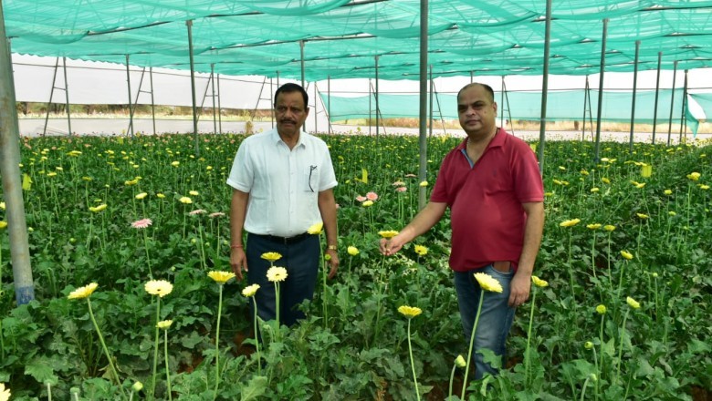किसान गिरीश देवांगन को फूलों की खेती से लगभग 10 लाख रूपए की सालाना हो रही आमदनी :