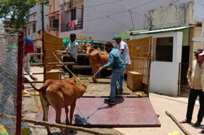 दुर्ग सहित चार निकायों भिलाई,चरोदा,रिसाली व कुम्हारी ने चलाया रोका छेका अभियान :