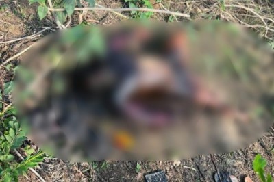 एक व्यक्ति की सड़ी-गली लाश मिलने से सनसनी फैल गई  :