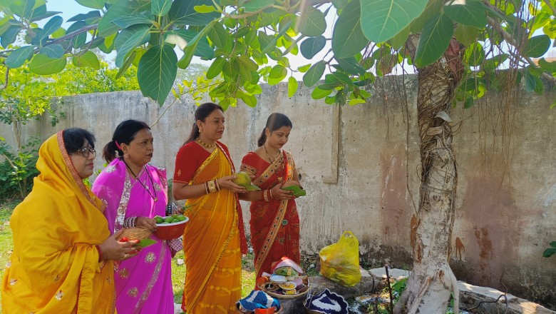 अखंड सौभग्य के लिए महिलाओं ने की वट सावित्री की पूजा :