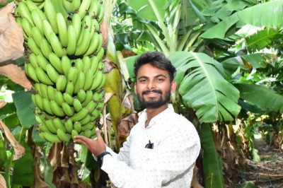 जिले में केले की वाणिज्यिक फसल से किसान हो रहे समृद्ध :