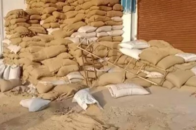 हाथी के  उत्पाद से हुआ नुकसान :