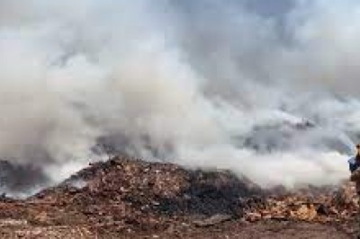 प्लाईवुड कंपनी में लगी भीषण आग: दमकल की 8 गाड़ियां दोपहर से आग बुझाने में जुटी हैं