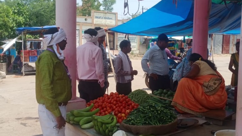 हाट बाजार एवं जय स्तम्भ चौक में चला निगम का प्रतिबंधित प्लास्टिक अभियान :