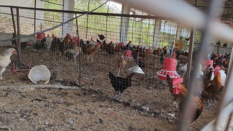 गौठानों से जुड़कर समूह की महिलाएं हो रही आत्मनिर्भर :