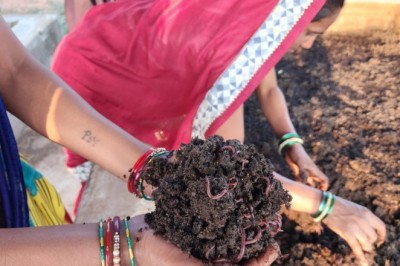 परिश्रम की चाबी खोलती है, किस्मत के दरवाजे..