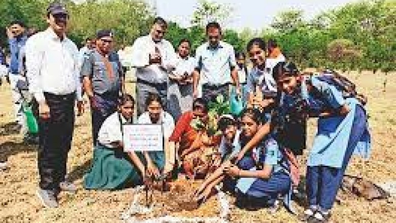 5 जून को हॉस्पिटल सेक्टर में पौधे रोपे जाएंगे :बीएसपी में पौधरोपण मुहिम नगर सेवाएं विभाग से शुरू...