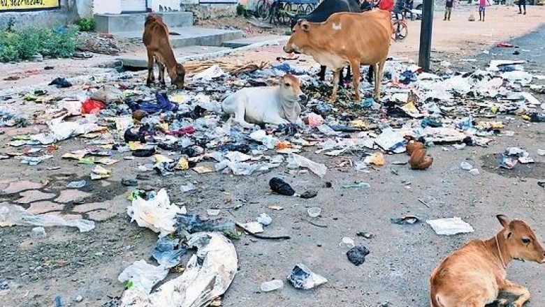 बीएसपी ने शुरू किया अभियान :टाउनशिप में ठेले-खोमचों को हटाया, प्लांट में घूम रहे मवेशी गौठान भेजे गए...