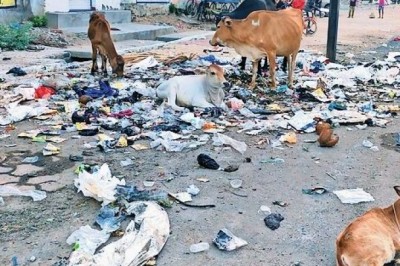 बीएसपी ने शुरू किया अभियान :टाउनशिप में ठेले-खोमचों को हटाया, प्लांट में घूम रहे मवेशी गौठान भेजे गए...