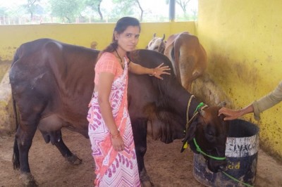 चंदखुरी गौठान बना स्व सहायता समूह की महिलाओं के लिए आजीविका का जरिया :