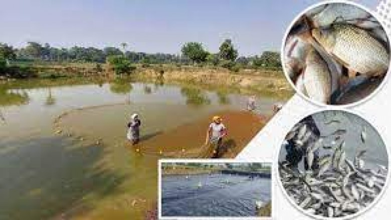 भगवानटोला और भर्रीटोला सिंचाई जलाशय को मछली पालन के लिए पट्टे पर देने 15 जून तक आवेदन आमंत्रित :