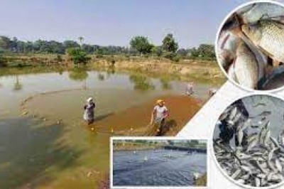 भगवानटोला और भर्रीटोला सिंचाई जलाशय को मछली पालन के लिए पट्टे पर देने 15 जून तक आवेदन आमंत्रित :
