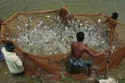बल्देव सागर तालाब को मछली पालन के लिए 10 वर्षीय पट्टे पर देने के लिए 19 जून तक आवेदन आमंत्रित :